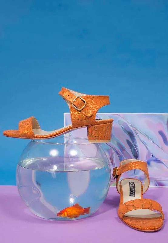 Shoes & Goldfish