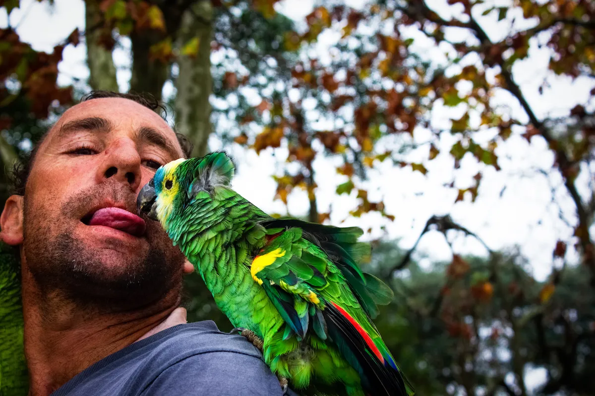 Parrot Kiss